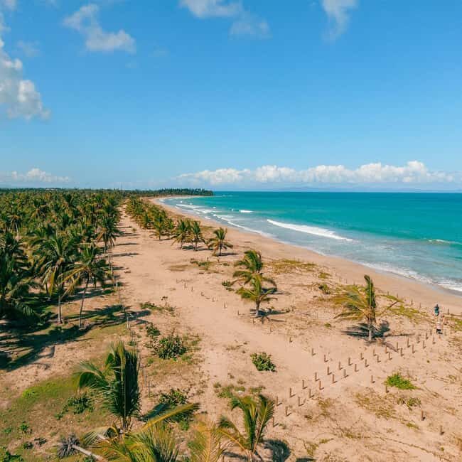 Zip Line Playa Esmeralda With Redonda Mountain - Who Should Consider This Tour?