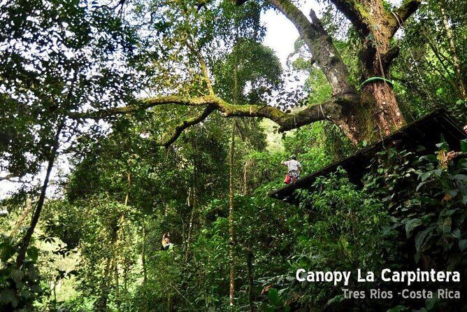 Zip Line, Rappel, Hiking La Carpintera Tour in San Jose - Who Should Consider This Tour?
