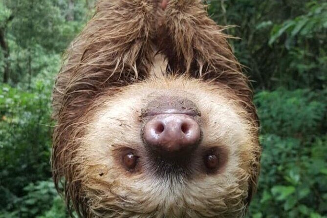 Zip Line, Rappel, Hiking La Carpintera Tour in San Jose - The Sum Up: Why It’s Worth Your Time