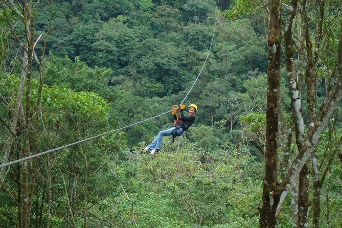 Zip Lining Adventure from San José - Authenticity and Value