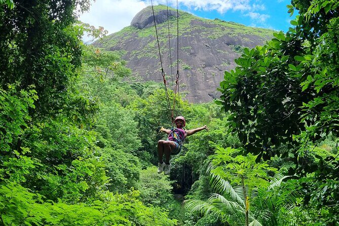Zip Lining and Canopy Tree Tour in Rio de Janeiro - Exploring the Rio Zip Lining and Canopy Tour
