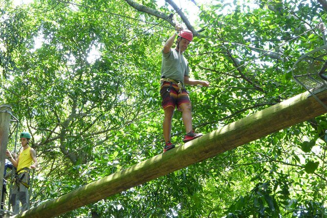 Zip Lining and Canopy Tree Tour in Rio de Janeiro - Who Will Love This Tour?