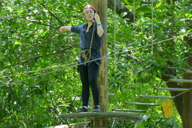 Zip Lining and Canopy Tree Tour in Rio de Janeiro - Final Thoughts