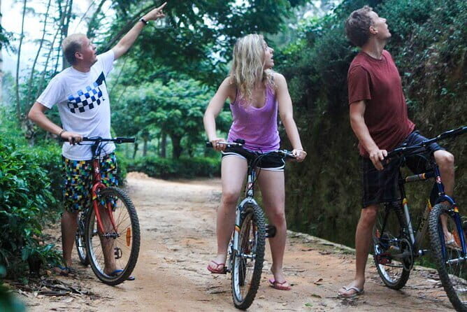 Zip Lining Experience in Ella - Analyzing the Cost and Value