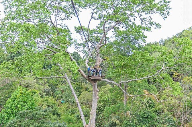 Zipline 18 Platforms and ATV Adventure Tour From Phuket - A Detailed Look at the Zipline and ATV Tour in Phuket