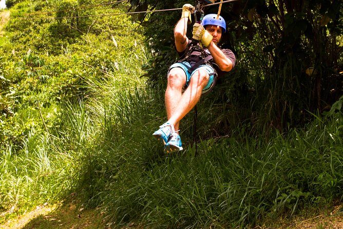 Zipline Adventure In The Rainforest - Key Points