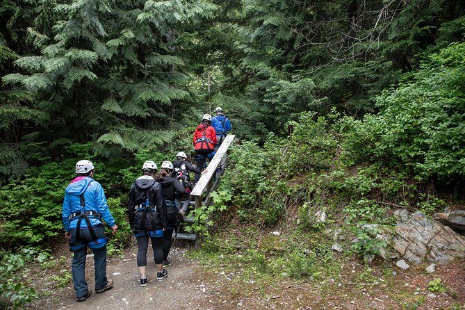 Zipline Adventure in Whistler - Key Points
