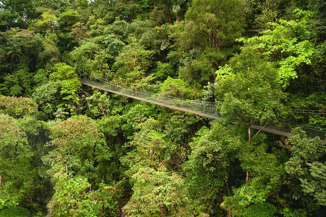 Zipline Adventure San Luis From San José - Key Points