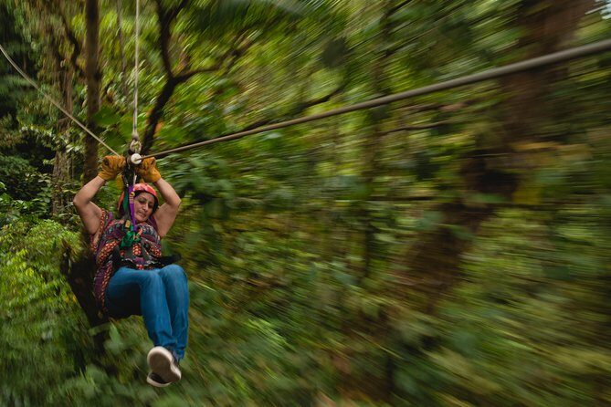 Zipline Adventure San Luis From San José - Potential Drawbacks