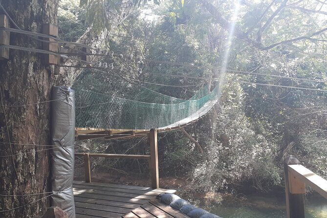 Zipline and Altun Ha from Belize City - A Detailed Look at the Belize Zipline and Altun Ha Tour