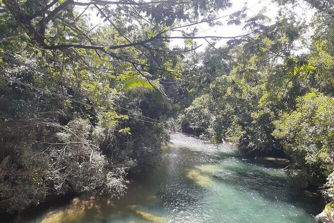 Zipline and Altun Ha from Belize City - The Sum Up