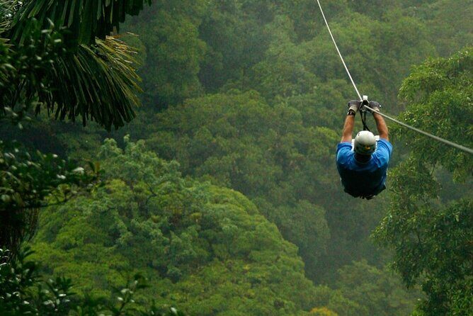 Zipline and Hanging Bridges Combo Tour in Monteverde Cloud Forest - The Value of This Tour