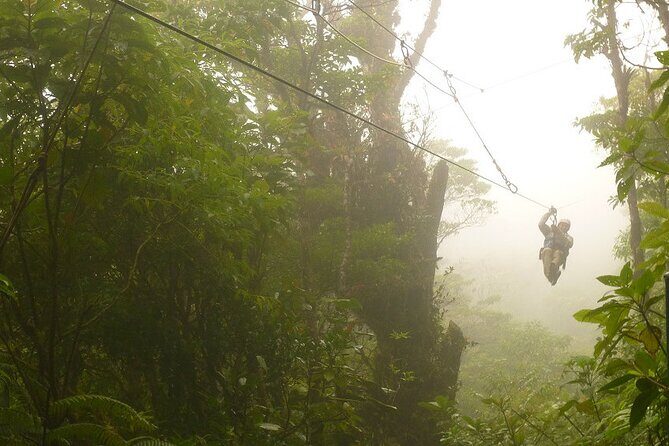 Zipline and Hanging Bridges Combo Tour in Monteverde Cloud Forest - Final Thoughts