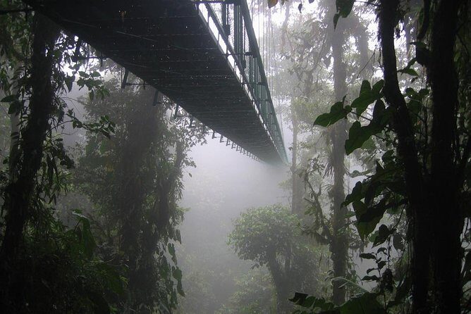 Zipline and Hanging Bridges Combo Tour in Monteverde Cloud Forest - Who Should Consider This Tour?