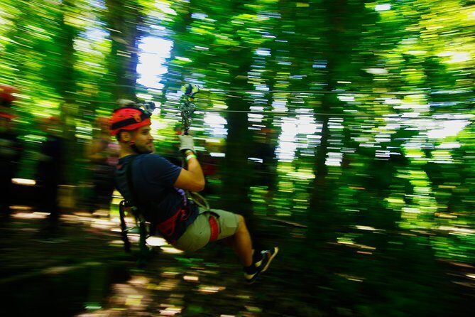 Zipline and Rappelling in Monteverde - Zipline and Rappelling in Monteverde: An Adventurer’s Delight