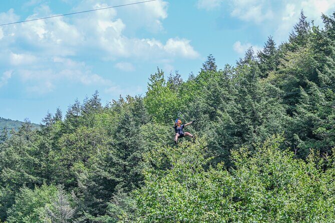 Zipline Canopy Activity Admission at Bristol Mountain - Zipline Canopy Activity Admission at Bristol Mountain: An Adventure Worth Flying For