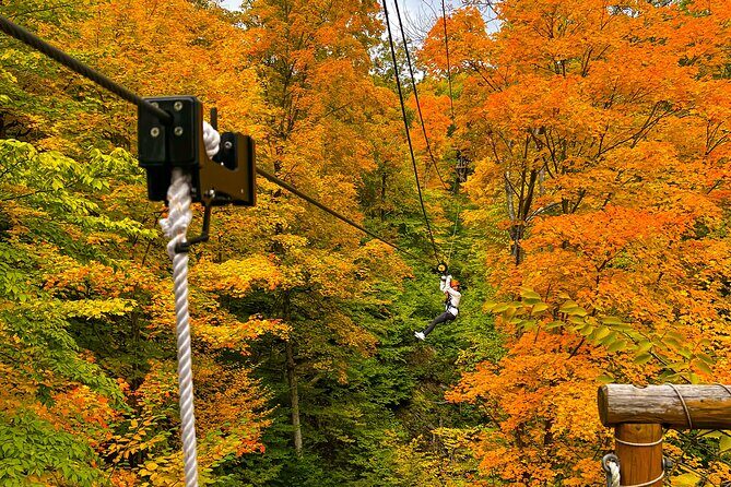 Zipline Canopy Activity Admission at Bristol Mountain - Practical Details and Value