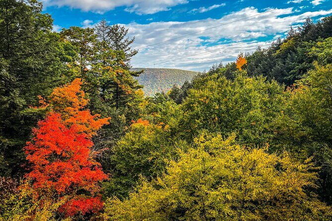 Zipline Canopy Activity Admission at Bristol Mountain - Final Thoughts