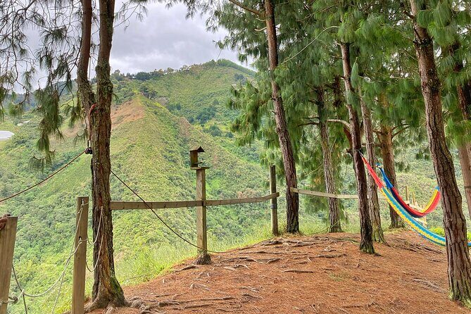 Zipline Canopy Tour - Experience the Best of Medellín’s Wilderness with the Zipline Canopy Tour