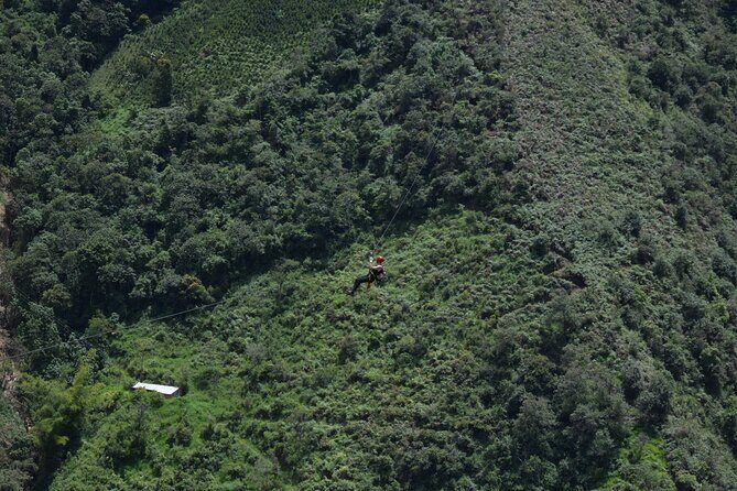 Zipline Canopy Tour - In-Depth Review: Why It’s Worth Your Time