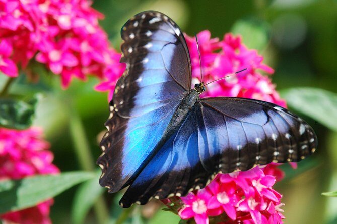 Zipline Canopy Tour from Guanacaste - A Closer Look at the Guanacaste Zipline Experience