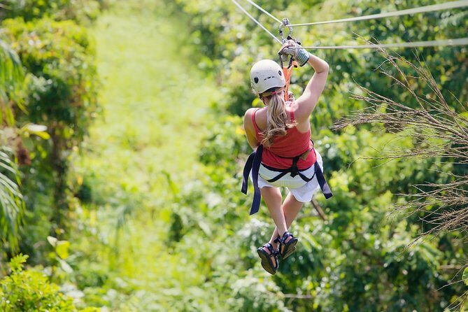Zipline Canopy Tour & Tortuguero Canal Boat tour. Shore Excursion from Limon - Introduction