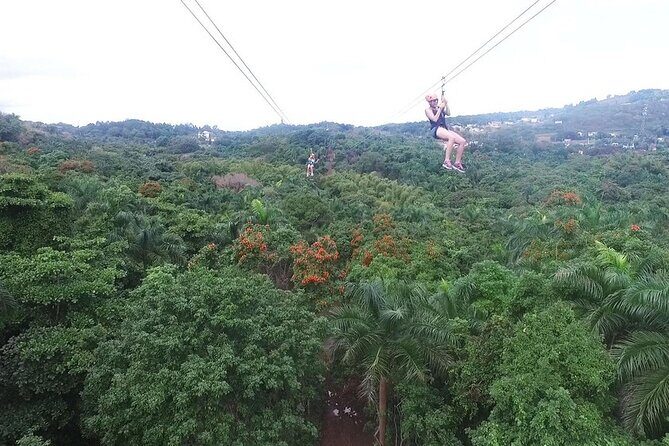 Zipline Canopy Tour with Transport from San Juan - Zipline Canopy Tour with Transport from San Juan