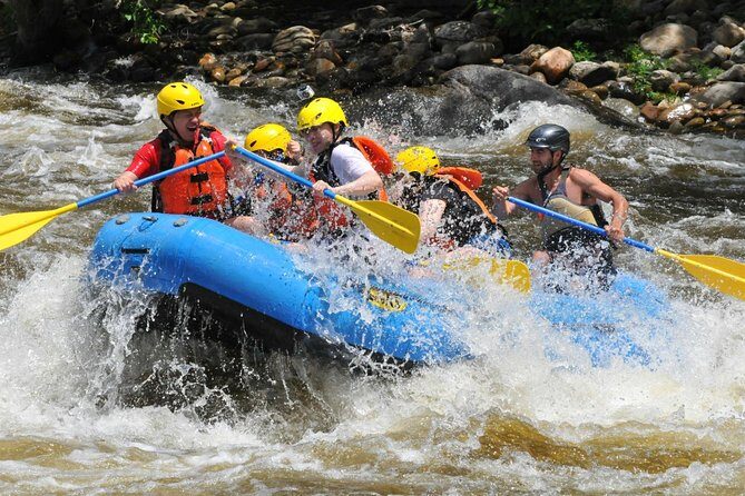 Zipline Canopy & Whitewater Rafting Tour. Private Tour from San Jose - Why This Tour Stands Out