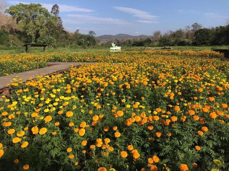 Zipline Experience in Chiang Mai - Final Thoughts: Is It Worth It?