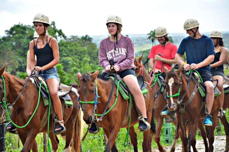 Zipline Experience with Buggy, Horses and Food Punta Cana - The Sum Up