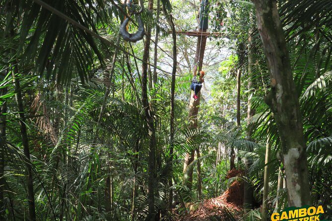 Zipline Gamboa - Zipline Gamboa: A Thrilling View of Panama’s Natural Beauty