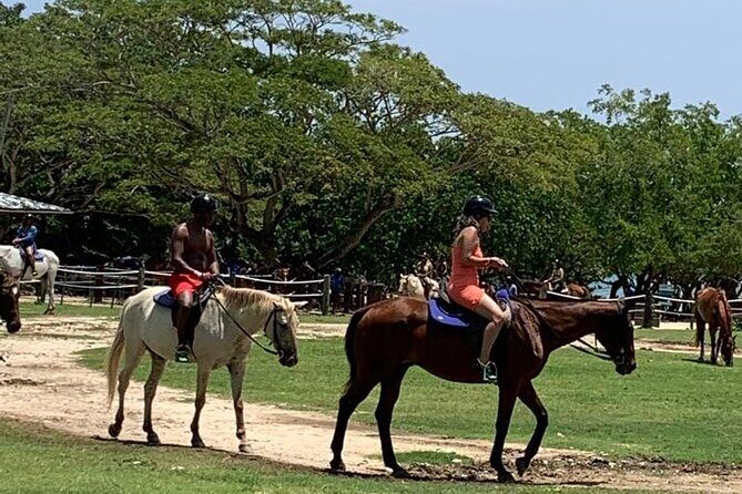 Zipline, Horseback Ride, ATV and Catamaran from Montego Bay - A Closer Look at the Experience