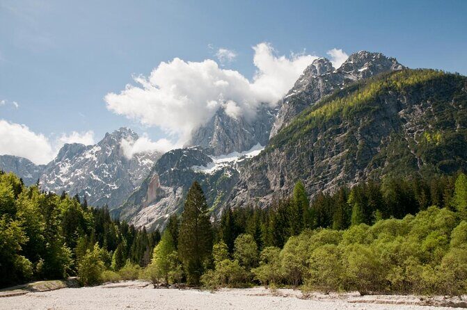 Zipline in Slovenia - An In-Depth Look at the Slovenian Zipline Experience