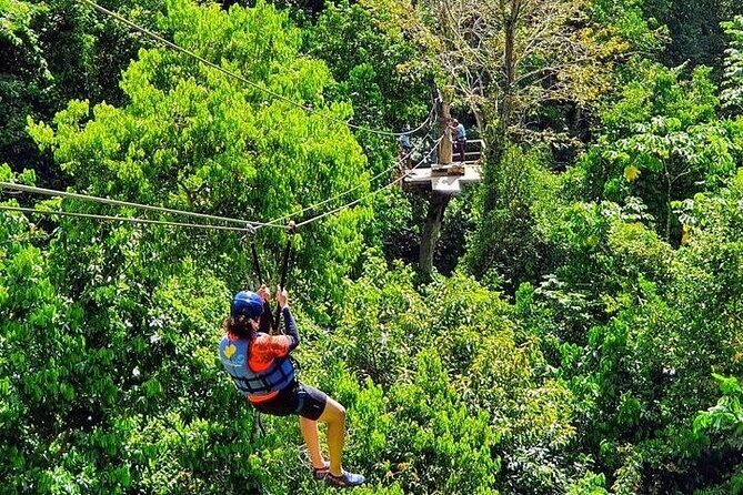 Zipline with Waterfalls and Lunch, Amber Cove and Taino Bay - Who Will Love This Tour?
