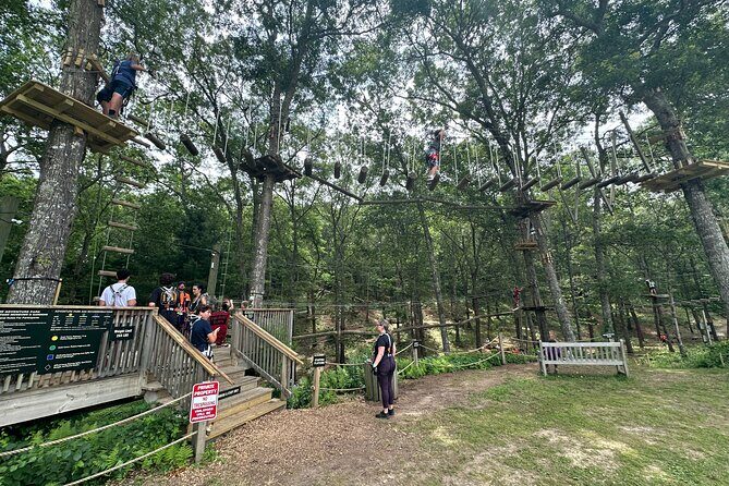 Ziplining and Climbing at The Adventure Park on Cape Cod - Key Points