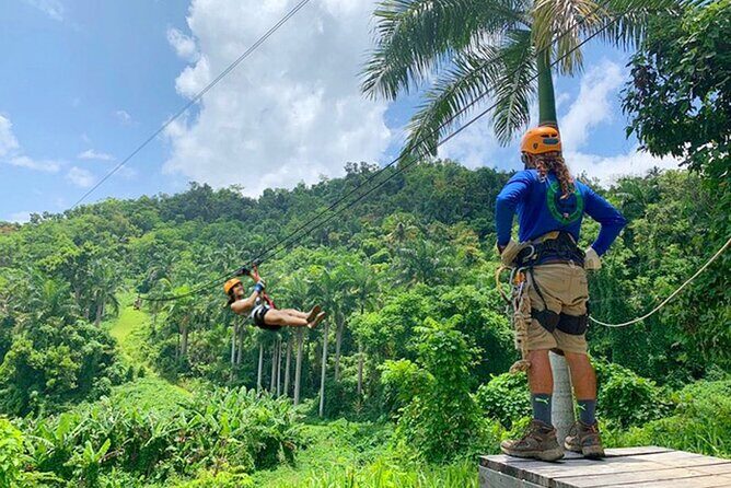 Ziplining at the Rainforest in Puerto Rico - FAQ