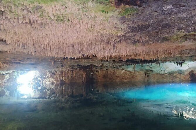 Ziplining ATVs and Cenote Swim with Lunch Cancun Adventure Tour - How does the experience value stack up?