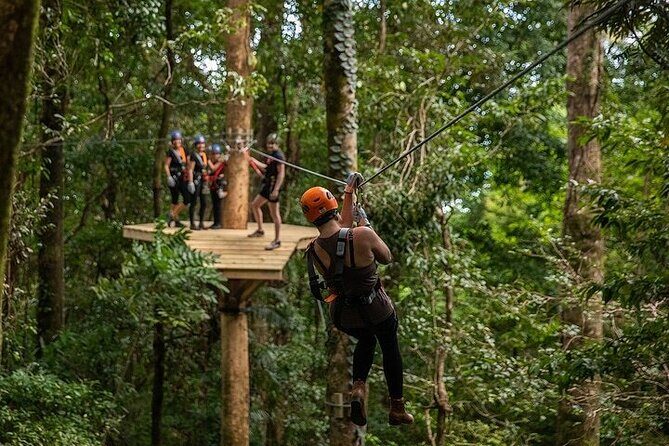 Ziplining Cape Tribulation with Treetops Adventures - Who Should Consider This Tour?