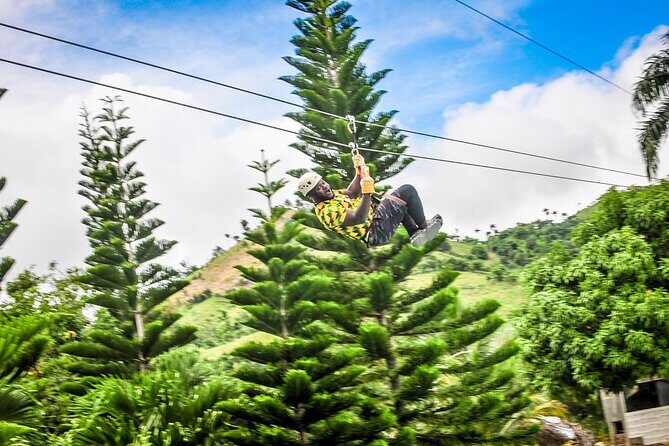 Ziplining in YS Falls and Black River Safari Private Tour - Exploring the Journey: What You Can Expect