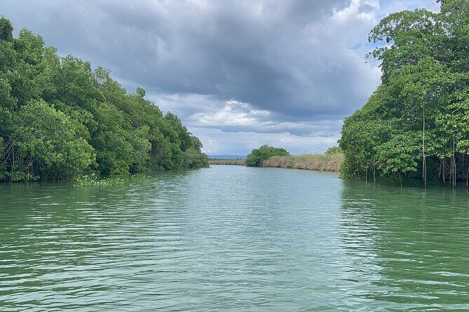 Ziplining in YS Falls and Black River Safari Private Tour - Final Thoughts