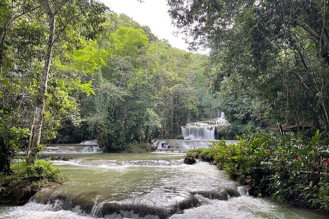 Ziplining in YS Falls and Black River Safari Private Tour - FAQ