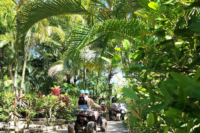 Zipp Line + Animal Sanctuary +ATVs city walk + Rum & Chocolate Factory - Key Points