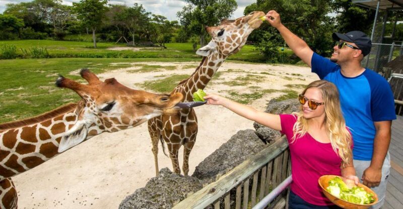 Zoo Miami: General Admission Ticket - Practical tips for your visit