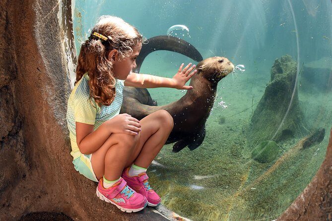 Zoo Miami Ticket with Optional Upgrade - An In-Depth Look at Zoo Miami