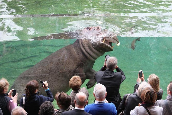 Zoo Of Beauval - Private Trip - FAQ