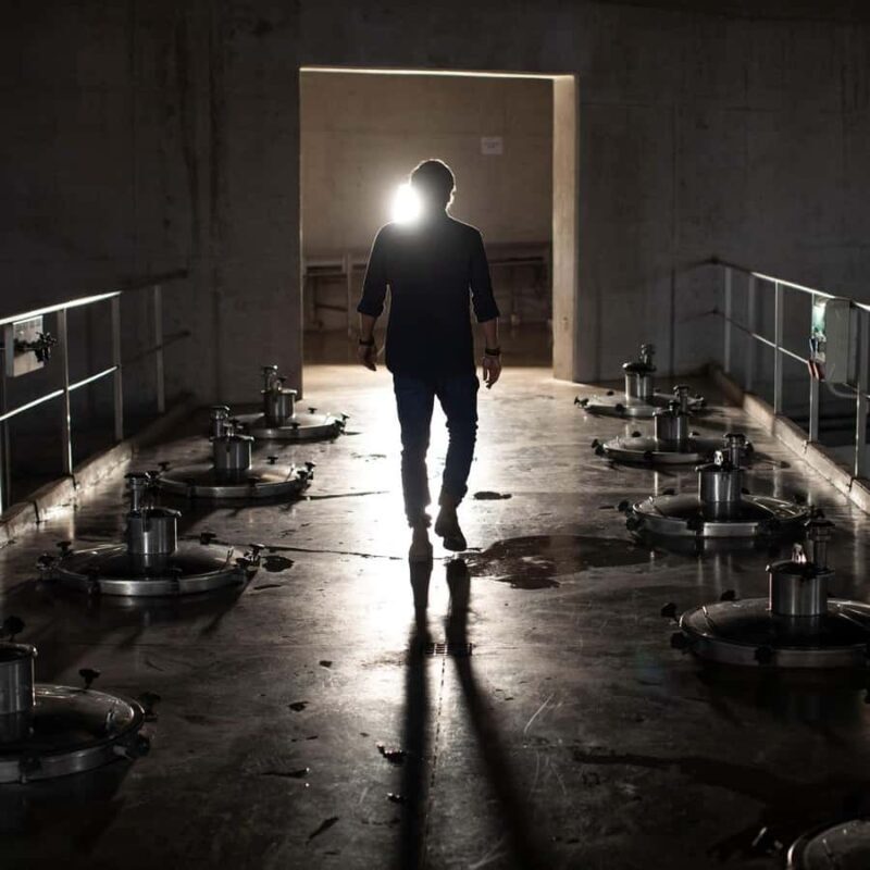 Zuccardi Legacy: A Journey Through Uco Valleys Finest - The Practicalities: What to Expect and Tips