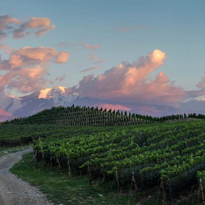 Zuccardi Legacy: A Journey Through Uco Valleys Finest - Why Choose This Tour?