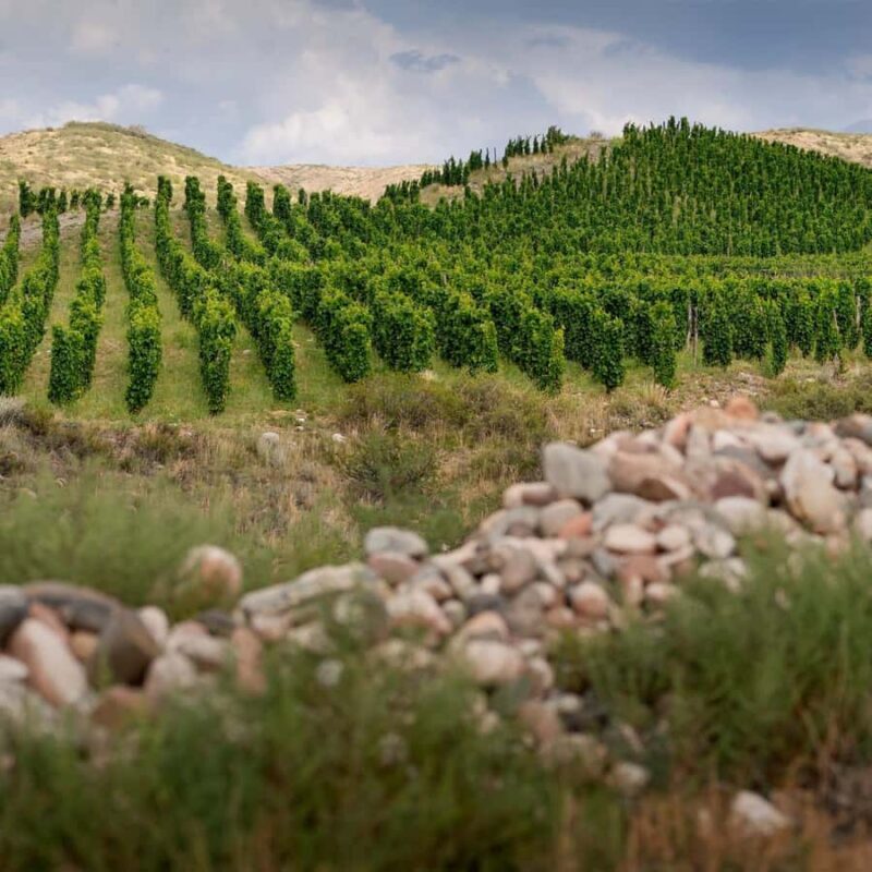 Zuccardi Legacy: A Journey Through Uco Valleys Finest - Final Thoughts: Is It Worth It?