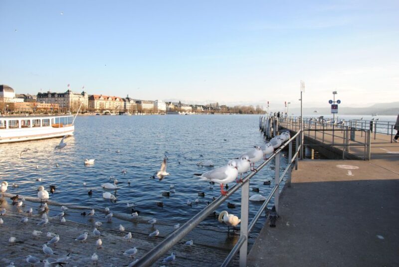 Zurich: 360° City Walk Tour Including Hidden Spots - Why You Should Consider This Tour