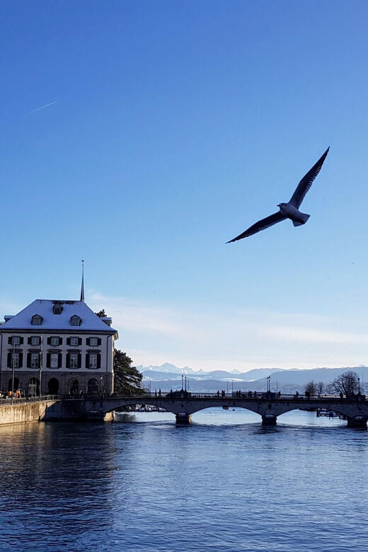 Zurich a journey through time, history and the Reformation - Who Will Love This Tour?